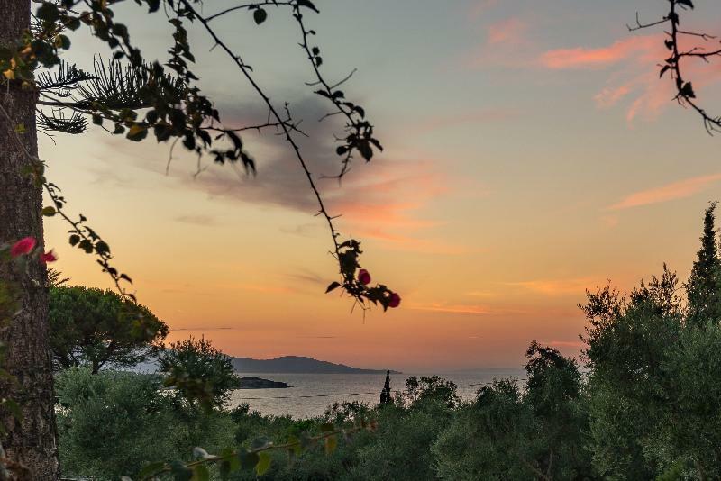 Ionian Aura Aparthotel Tsilivi  Bagian luar foto